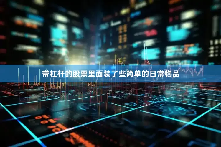 带杠杆的股票里面装了些简单的日常物品