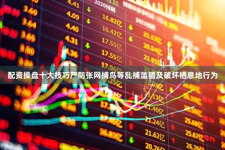 配资操盘十大技巧严防张网捕鸟等乱捕滥猎及破坏栖息地行为