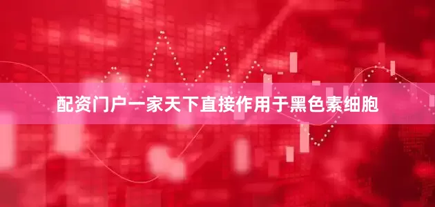 配资门户一家天下直接作用于黑色素细胞